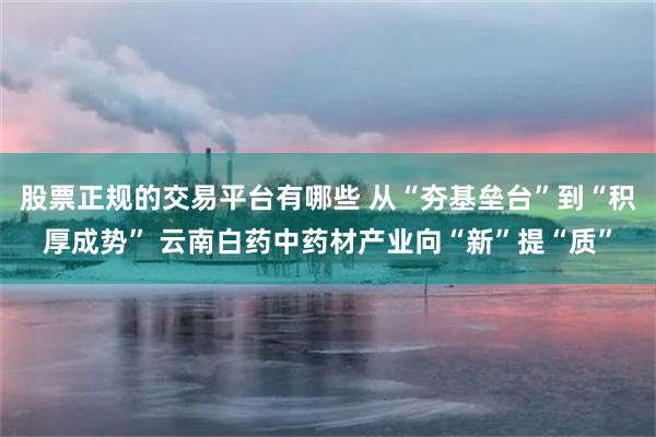 股票正规的交易平台有哪些 从“夯基垒台”到“积厚成势” 云南白药中药材产业向“新”提“质”