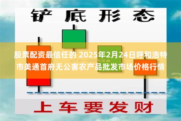 股票配资最信任的 2025年2月24日呼和浩特市美通首府无公害农产品批发市场价格行情